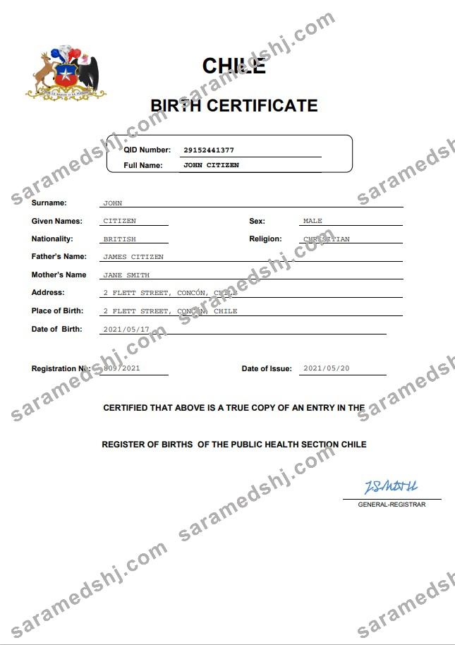 Chile vital record birth certificate Word and PDF template
